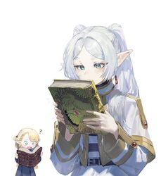 frieren from dungeon meshi by quasarcake