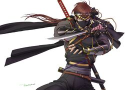 ryu hayabusa from dead or alive
