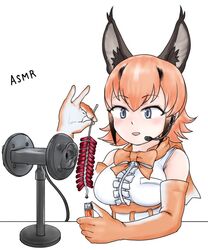 caracal (kemono friends) from kemono friends