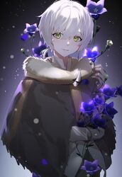 fushi from fumetsu no anata e