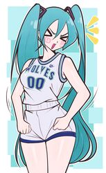 hatsune miku from minnesota timberwolves by jeff miga