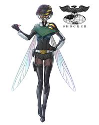 mosquiras from kamen rider by eidenjyou1997