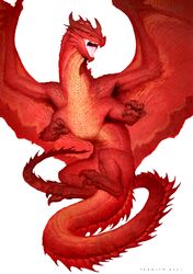 dungeons & dragons fan art
