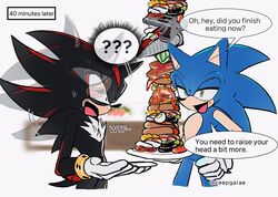 shadow the hedgehog from sonic (series)