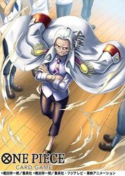 tsuru (one piece) from one piece by crost