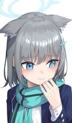 shiroko (blue archive) from blue archive