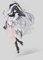 punishing: gray raven fan art