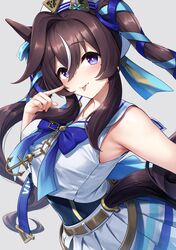 vivlos (umamusume) from umamusume