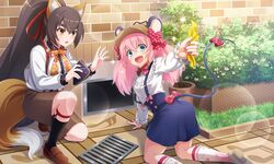 a (show by rock!!) from show by rock!!