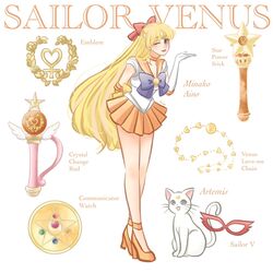 aino minako from bishoujo senshi sailor moon