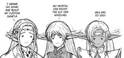 deedlit from edomae elf by basedlida