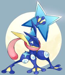 greninja from pokemon