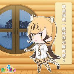 cheetah (kemono friends) from kemono friends