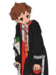 jimmy valmer from harry potter (series) by ten (lu2948d)