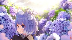 nekomusume from original
