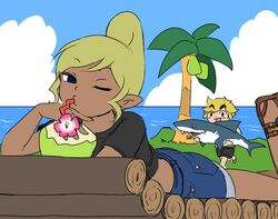 link from the legend of zelda