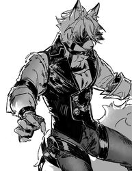 von lycaon from zenless zone zero
