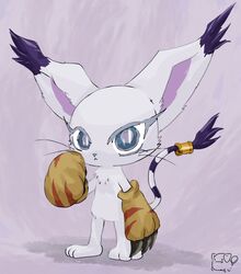 tailmon from digimon