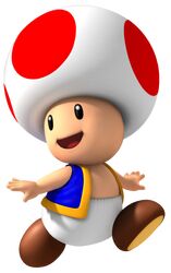 toad (mario) from mario party