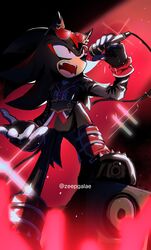 shadow the hedgehog from sonic (series)