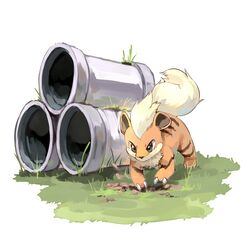 growlithe from pokemon