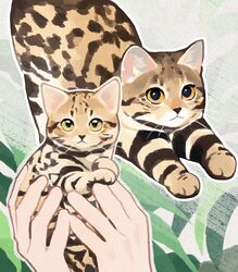 original fan art