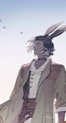 viera from final fantasy