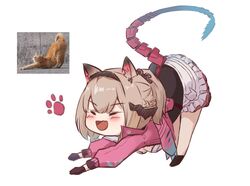 pardofelis from honkai (series)