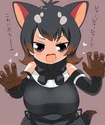 tasmanian devil (kemono friends) from kemono friends