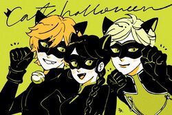 adrien agreste from miraculous ladybug
