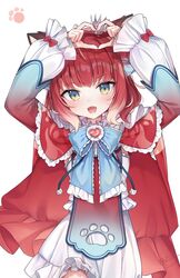 akami karubi from indie virtual youtuber by yayoichi (yoruyoru108)