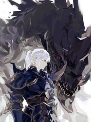 dragoon (final fantasy) from final fantasy