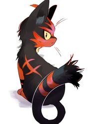 litten from pokemon