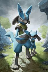 lucario from pokemon