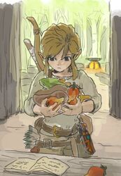 link from the legend of zelda by soraoyogusakana