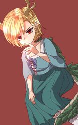 kicchou yachie from touhou by ahodemoaru
