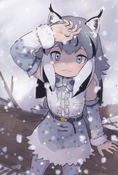 canadian lynx (kemono friends) from kemono friends