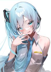hatsune miku from vocaloid