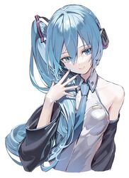hatsune miku from vocaloid
