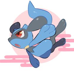 riolu from pokemon
