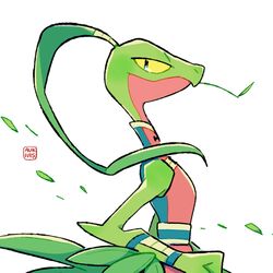 grovyle from pokemon