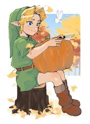 link from the legend of zelda by yamori (yamoooon21)