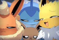 eevee from pokemon