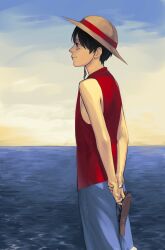 monkey d. luffy from one piece