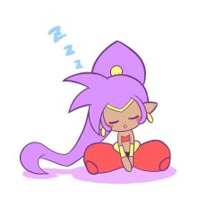 shantae fan art