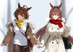 agnes tachyon (umamusume) from umamusume by reibun (raven1119)