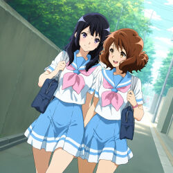 kousaka reina from hibike! euphonium