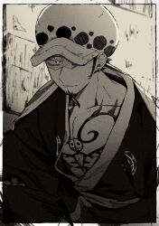 trafalgar law from one piece