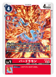 birdramon from digimon by takeuchi moto (mtrumorumo)