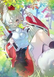 inubashiri momiji from touhou